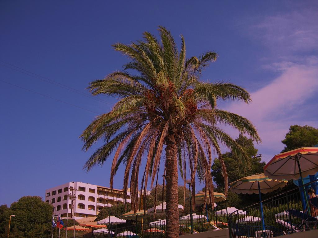 Romantza Mare Koskinou  部屋 写真